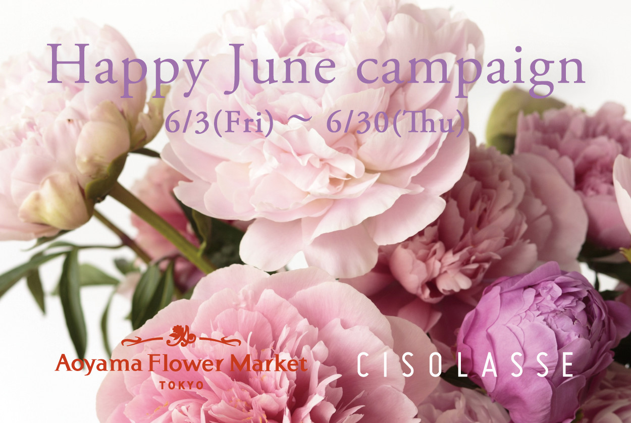 青山フラワーマーケット× CISOLASSE Happy June Campaign